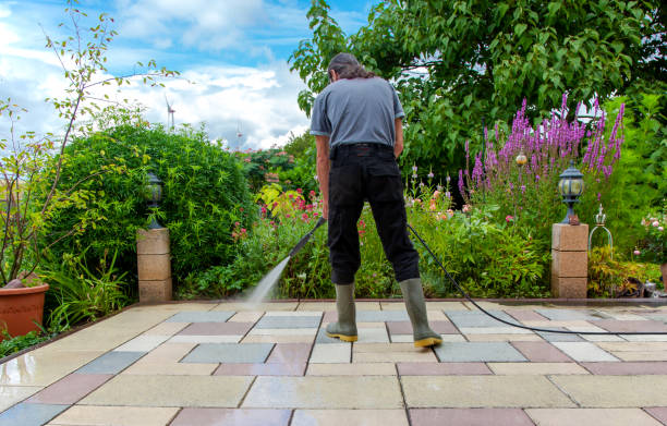 Animal Enclosure Cleaning in Red Bud, IL